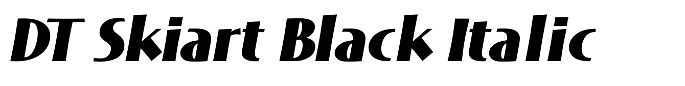 DT Skiart Black Italic